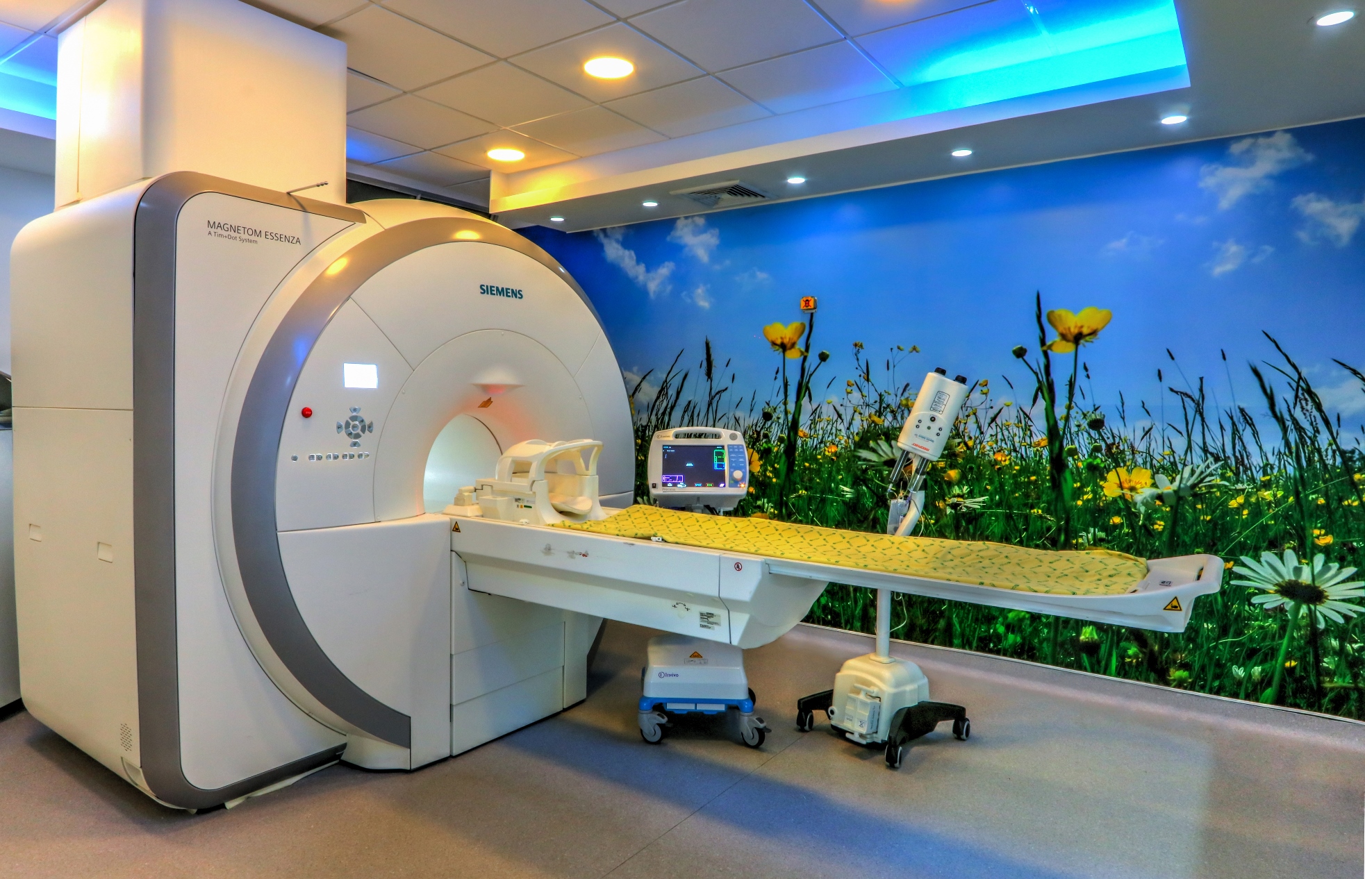 Resonancia Magnética